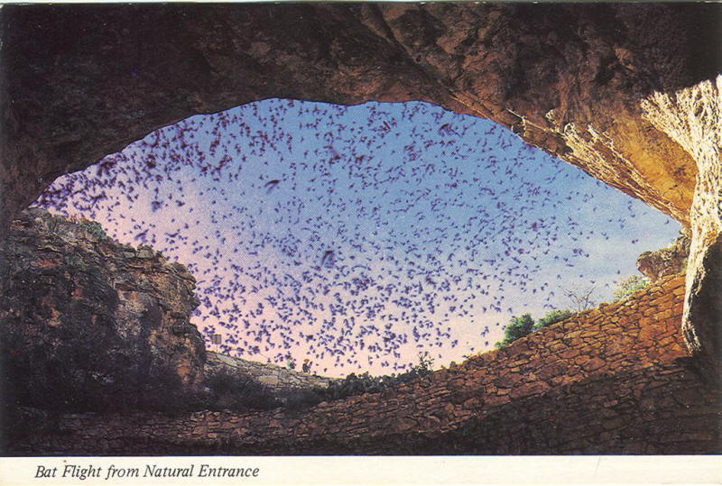 Carlsbad Caverns Live MoHo!